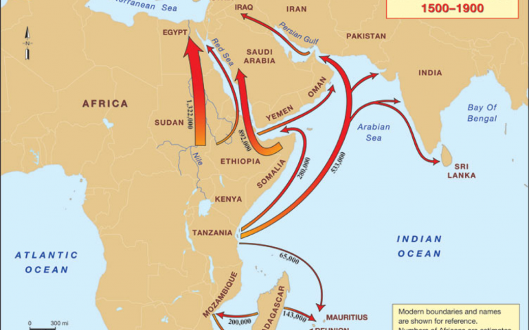 The African Diaspora in the Indian Ocean World 1500- 1900 AD